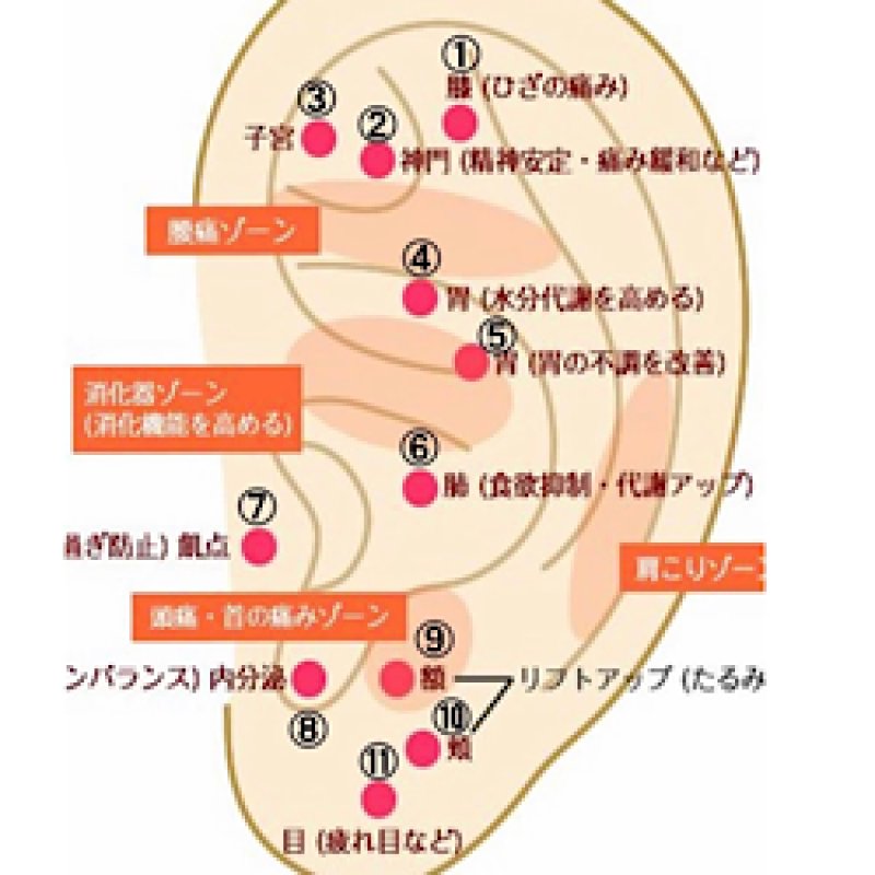 画像4: イヤーカフ（サージカルステンレス） (4)