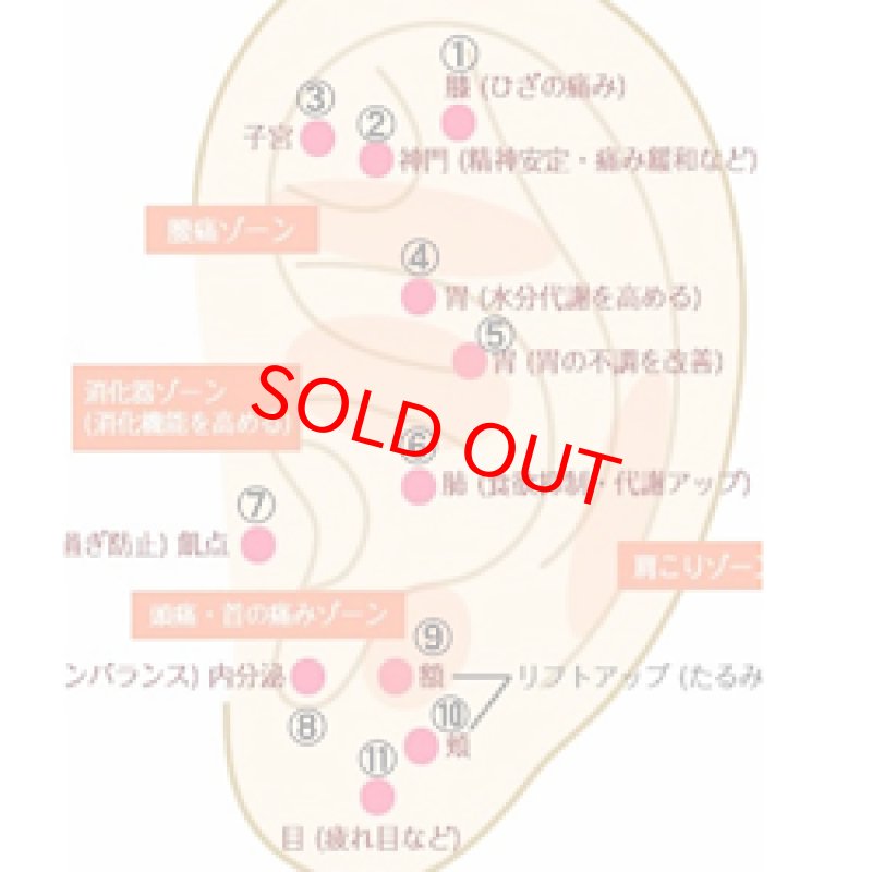 画像6: イヤーカフ（14Kゴールドフィルド） (6)