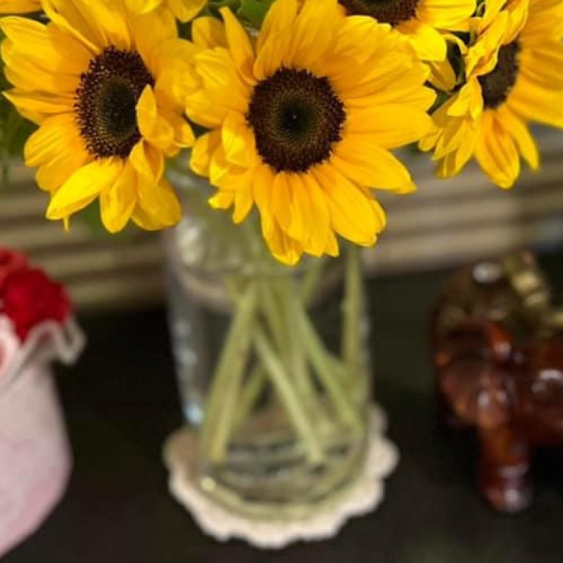 画像5: テラヘルツのさざれ（大・中・小サイズ） (5)