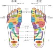 画像7: 【受注制作】テラヘルツ足つぼインソール (7)