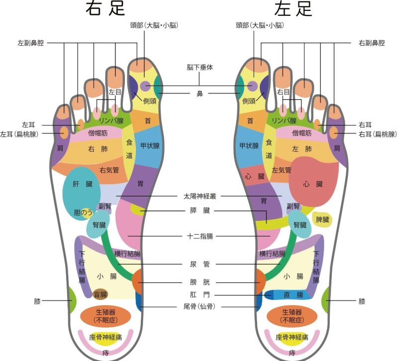 画像7: 【受注制作】テラヘルツ足つぼインソール (7)